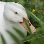 Agroturismo Po Delle Buche *