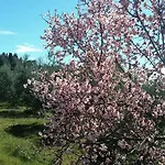 Po Delle Buche Farmház