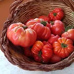 Agroturismo Po Delle Buche