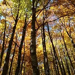 Po Delle Buche Agroturismo Città della Pieve
