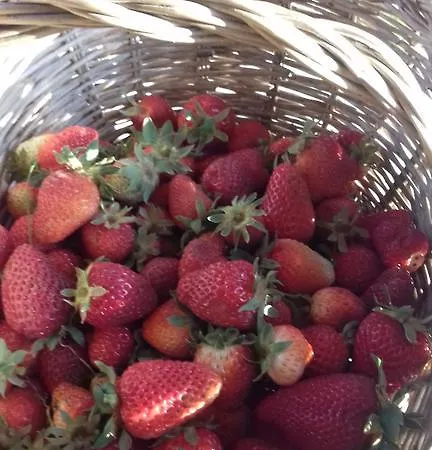 Po Delle Buche * Città della Pieve