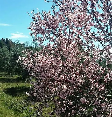Po Delle Buche Séjour à la ferme