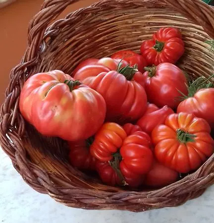 Séjour à la ferme Po Delle Buche