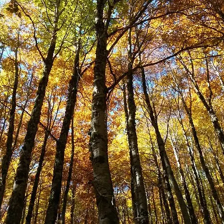 Po Delle Buche Gospodarstwo agroturystyczne Città della Pieve